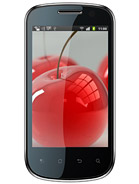 Best available price of Celkon A19 in Sweden