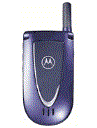 Best available price of Motorola V66i in Sweden